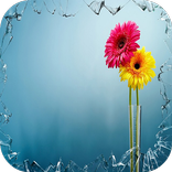 Broken Glass Wallpapers