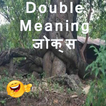 Double meaning jokes-hindi