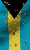 Bahamas flag lwp Free syot layar 1