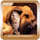 Best Friend Wallpaper simgesi