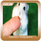 آیکون‌ Hamster Wallpapers