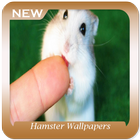 Hamster Wallpapers ไอคอน