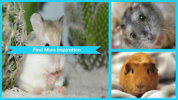 Hamster Wallpapers Ekran Görüntüsü 3