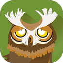 Meet The Animals: The Forest. APK