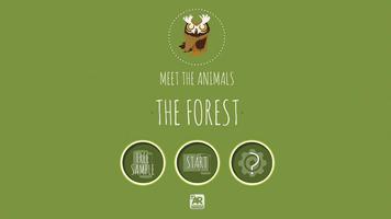 Meet The Animals: The Forest. Cartaz