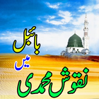 Baibal Mein Naqush E Muhammadi آئیکن