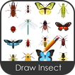 Draw Insect