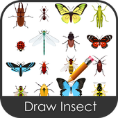 Draw Insect 아이콘