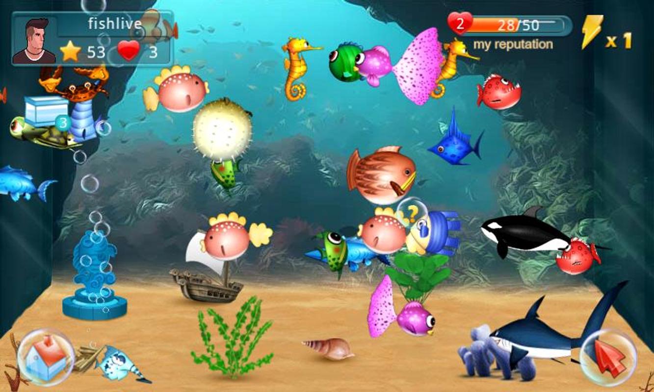 Игры большая рыбка. Fish Live игра. Игра аквариум. Игра аквариум с рыбками. Игра компьютерная рыбка в аквариуме.