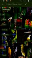 Koleksi Master Kicau Burung Ekran Görüntüsü 1