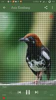 Koleksi Master Kicau Burung captura de pantalla 2