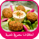 اكلات مصرية متنوعة 2016 APK