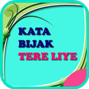 Kata Bijak Tere Liye APK