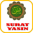 Surat Yasin Arab Latin Terjemahan