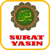 Surat Yasin Arab Latin Terjemahan icône