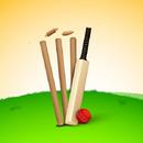 Cricket Score Calculator APK