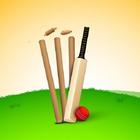 Cricket Score Calculator icône