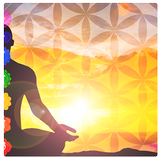 Chakra Healing Affirmations icône