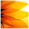 48 Good Morning Affirmations