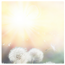 Lucid Dreaming Affirmations APK