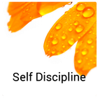 Self Discipline Affirmations иконка