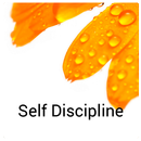 Self Discipline Affirmations APK