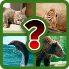 Animal Quiz - Guess the Animal icon