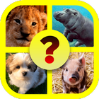 Baby Animal Quiz icône