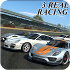 Real Speed Racing Guide Zeichen