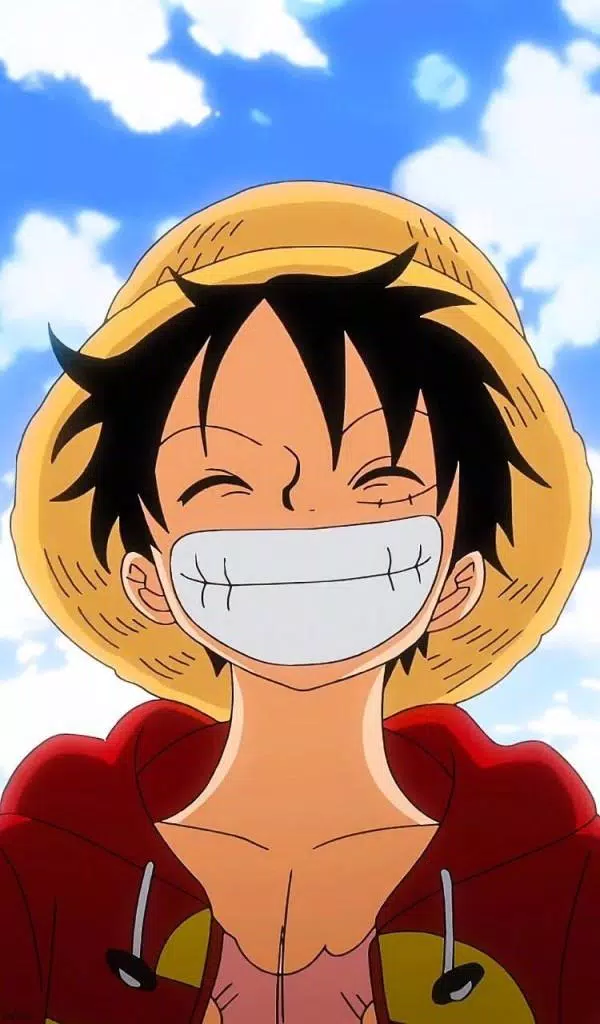 Monkey D Luffy •