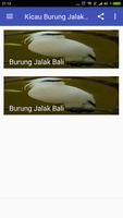 Kicau Burung Jalak Bali capture d'écran 1