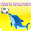 Show Dolphin