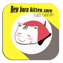 Do It Yourself chaton nouveau-né soins Tutoriels APK