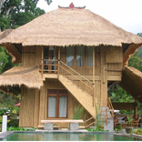 Bamboo House Fancy