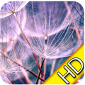 HD Retina Wallpaper