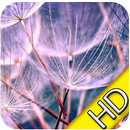 HD Retina Wallpaper APK