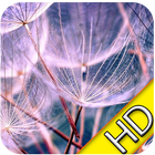 HD Retina Wallpaper icono