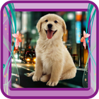 Cute Dog Photo Frame icon