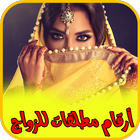 ارقام مطلقات للزواج icon