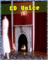 Hot Voice of Celine Dion🎤🎤🎤 capture d'écran 2