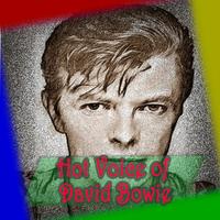 Hot Voice of David Bowie🎤🎤🎤 capture d'écran 2