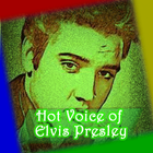 Hot Voice of Elvis Presley🎤🎤 icône