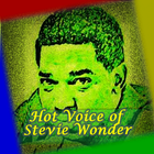 Hot Voice of Stevie Wonder🎤🎤 icône