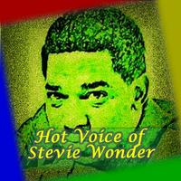 Hot Voice of Stevie Wonder🎤🎤 Affiche