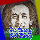 Hot Voice of Bob Marley Talent Songs🎤🎤 APK