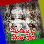 Hot Voice of Steven Tyler Talent Songs🎤🎤 icône
