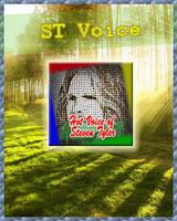Hot Voice of Steven Tyler Talent Songs🎤🎤 capture d'écran 3