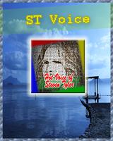 Hot Voice of Steven Tyler Talent Songs🎤🎤 capture d'écran 2