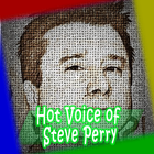 Hot Voice of Steve Perry Talent Songs🎤🎤 icône