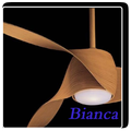 ceiling fan designs